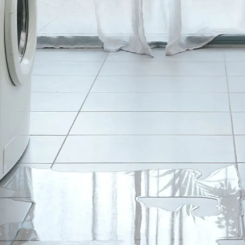 Appliance Leak Cleanup in Florissant, MO