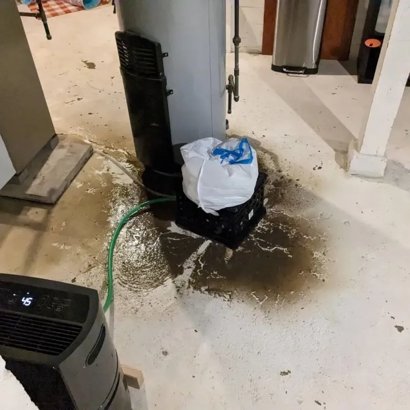 Sewage Backup Cleanup Service in Florissant, MO